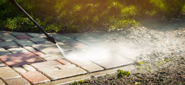 Best Roof Washing  in Cedville, AR